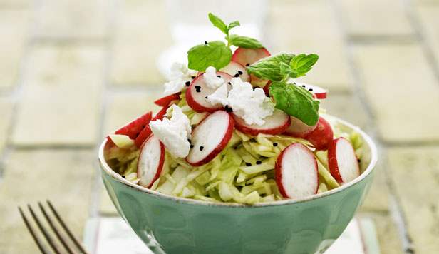 Salat med spidskål, radiser, gedefeta og brændenældeskud Opskrift på salat med spidskål, radiser, gedefeta og brændenældeskud