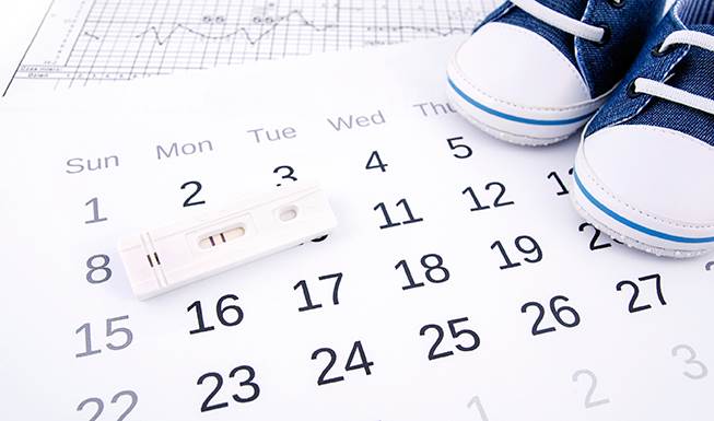Der er flere metoder til at beregne din ægløsning. Få overblikket her. Foto: Istockphoto Ægløsning - hvornår?
