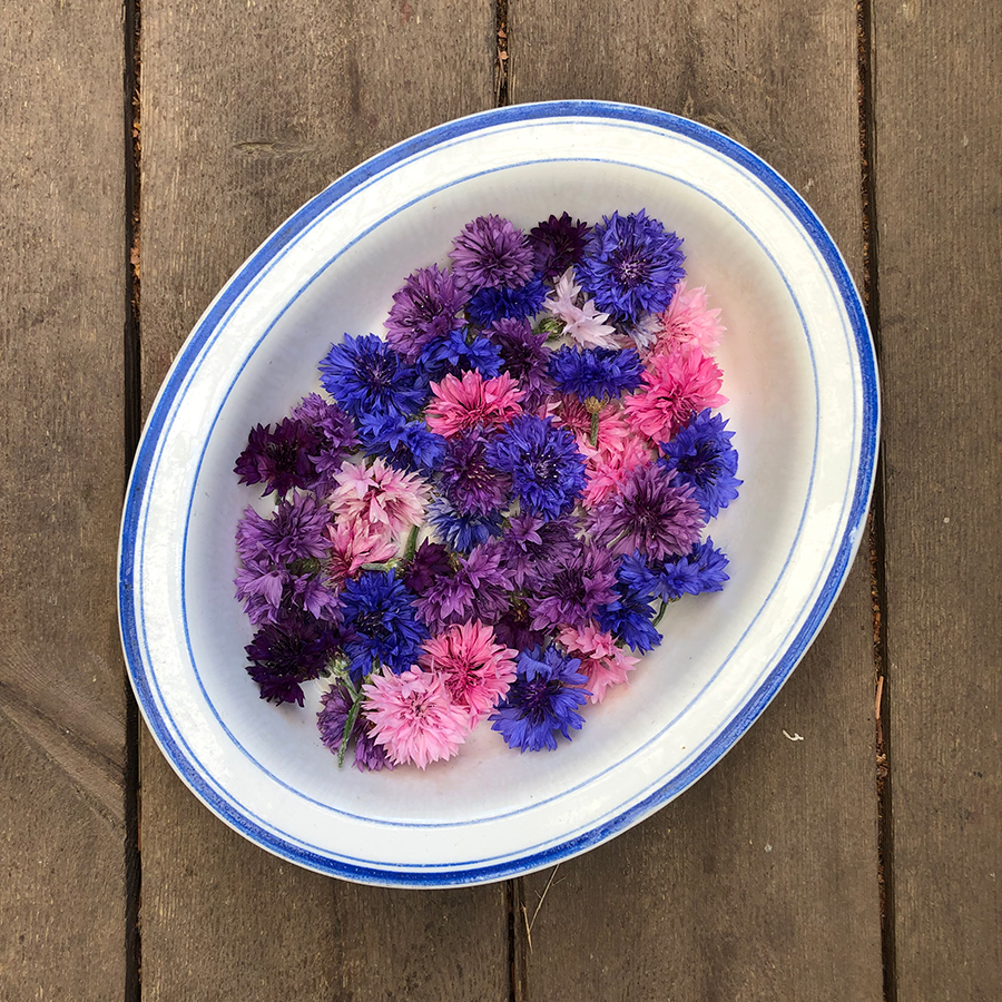 blomster