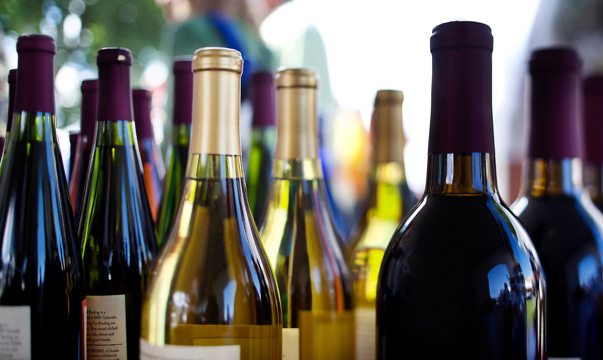 Denne artikel er sponsoreret af: Barfod, Fad 46, Foreningen af Danske Vinimportører, Fuco Wine, Sømod Vine, Greenwood Fine Wine, Lund vine, Vintage Champagne, VinVeto. Gode vine til dit næste selskab