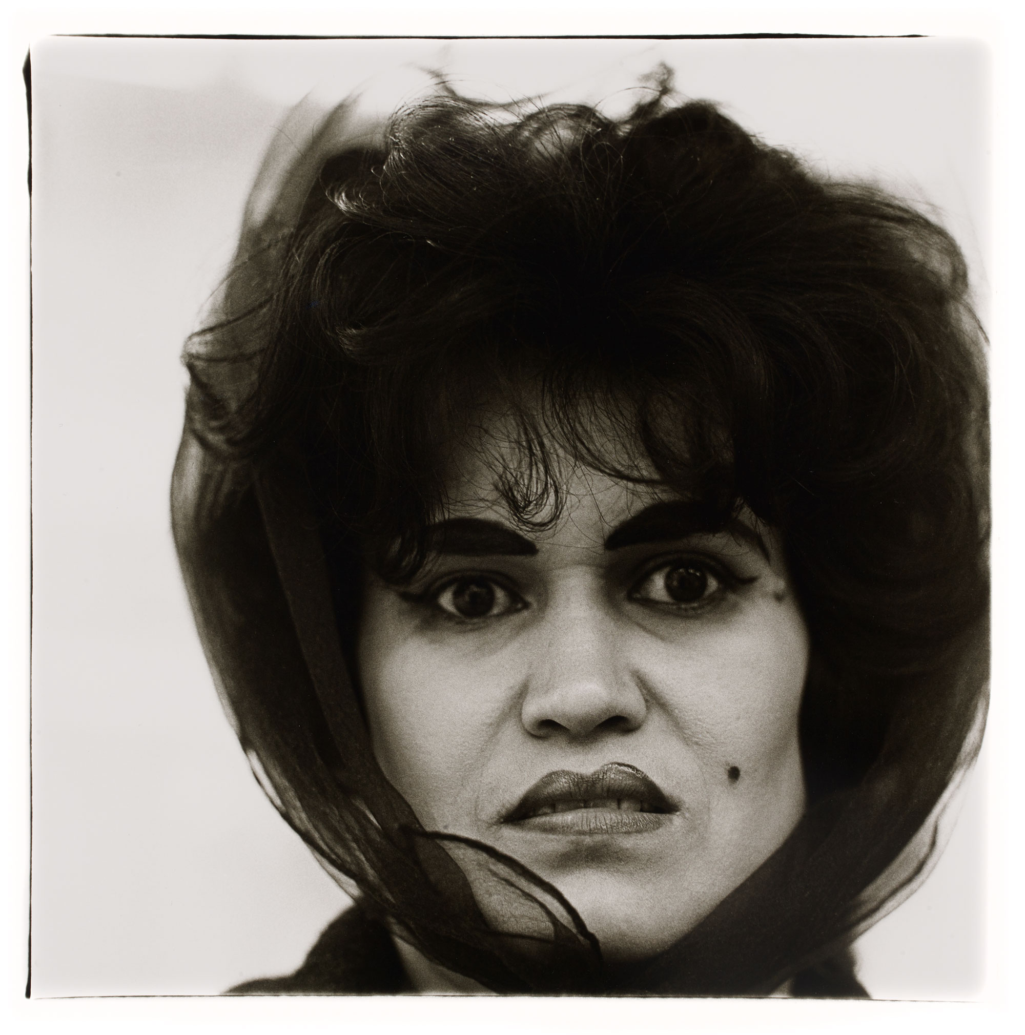 Arbus1.jpg