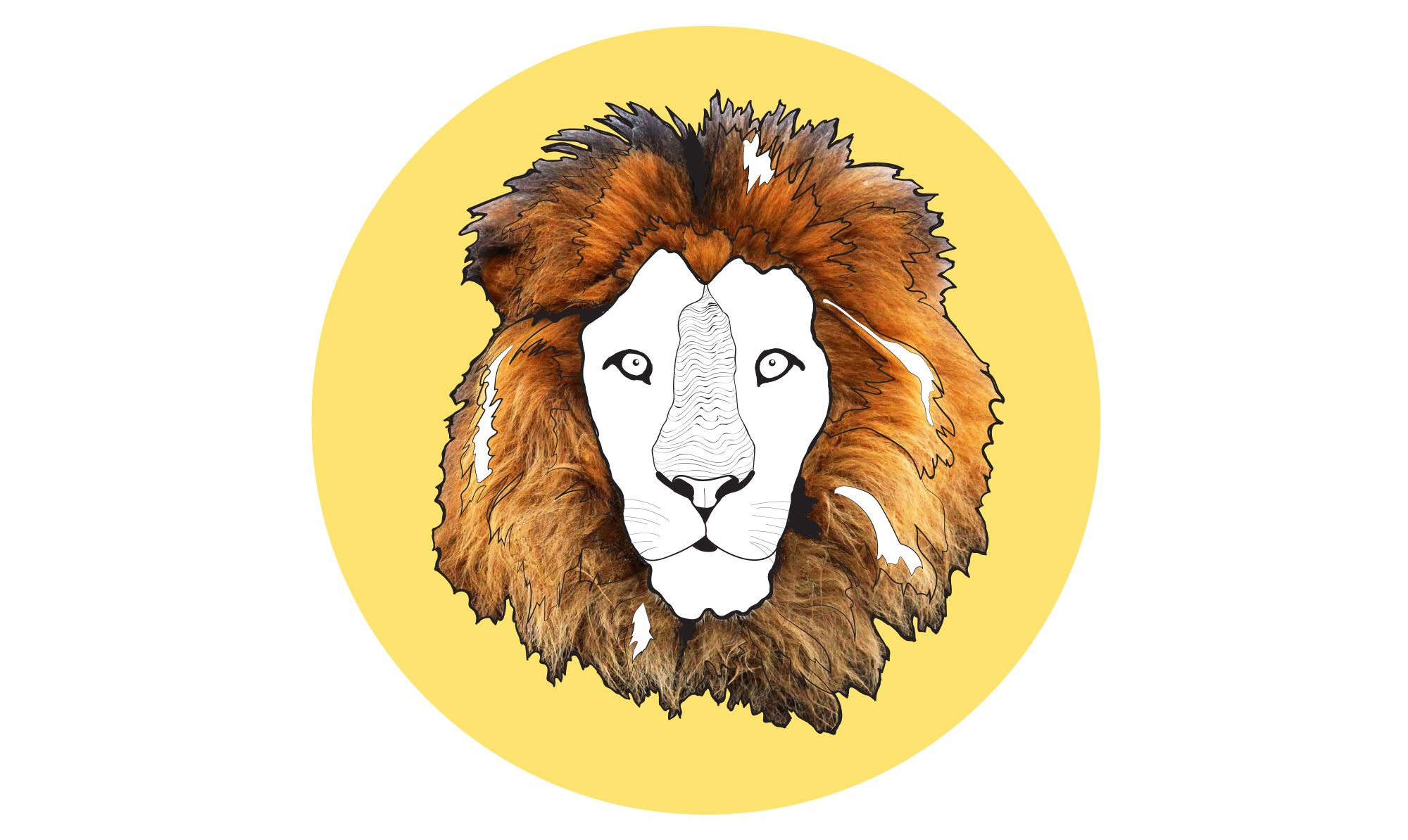 Løven er et ildtegn. Horoskop løve illustration