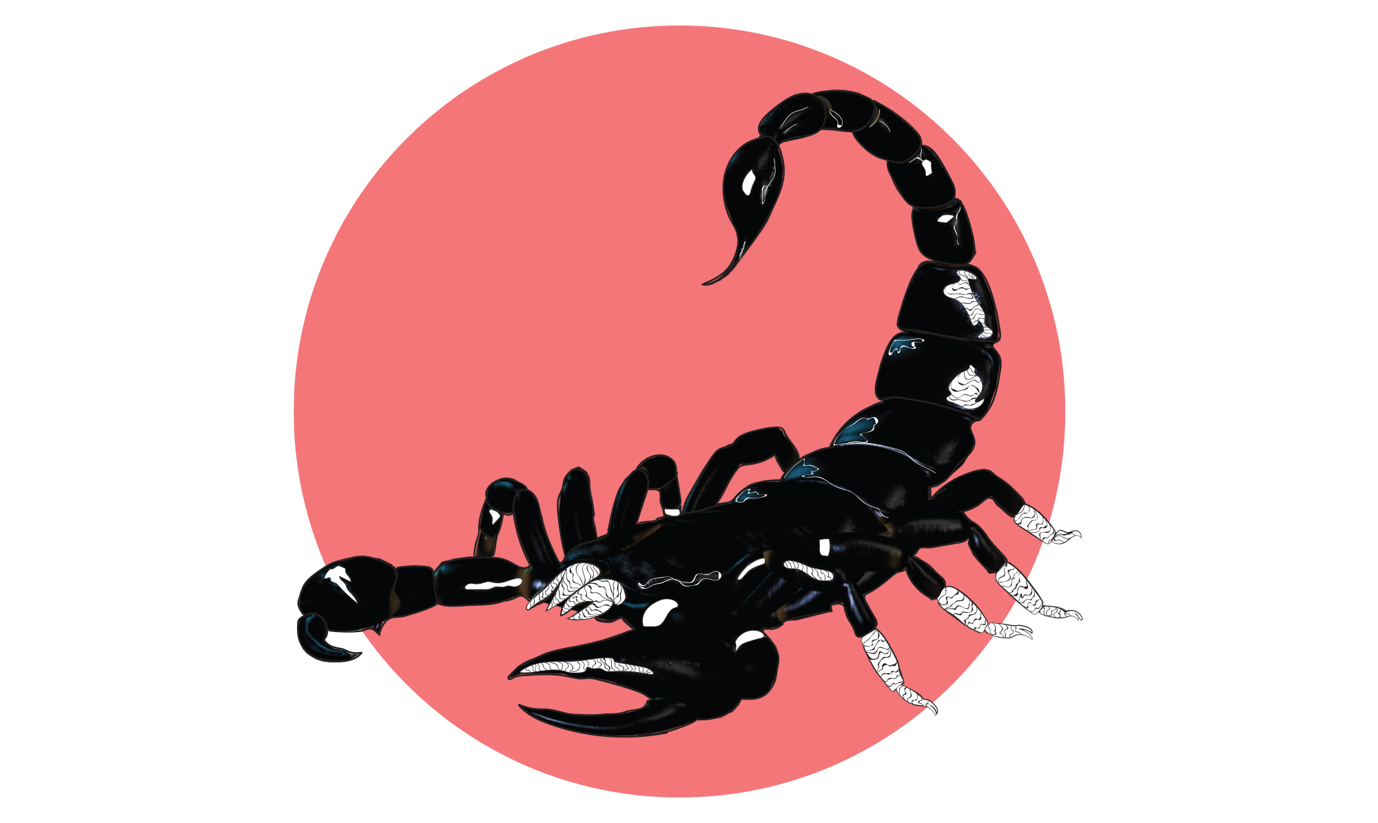 Skorpionen er et vandtegn. Horoskop skorpion illustration