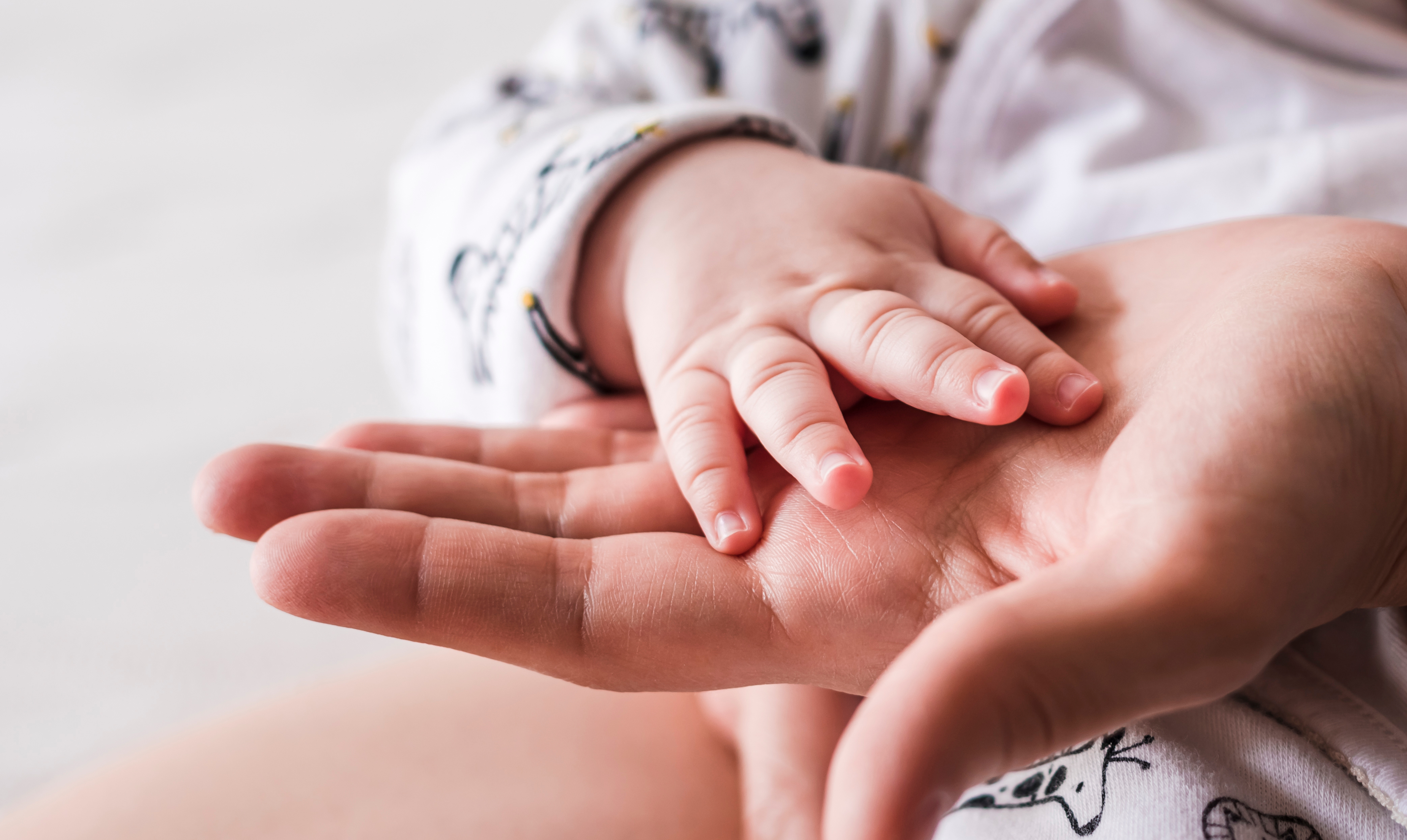 ”Baby kan da bare blive passet”. Klummeskribent Amalie Nebelong blev klogere, da hun selv blev mor. Forventninger til mor-rollen