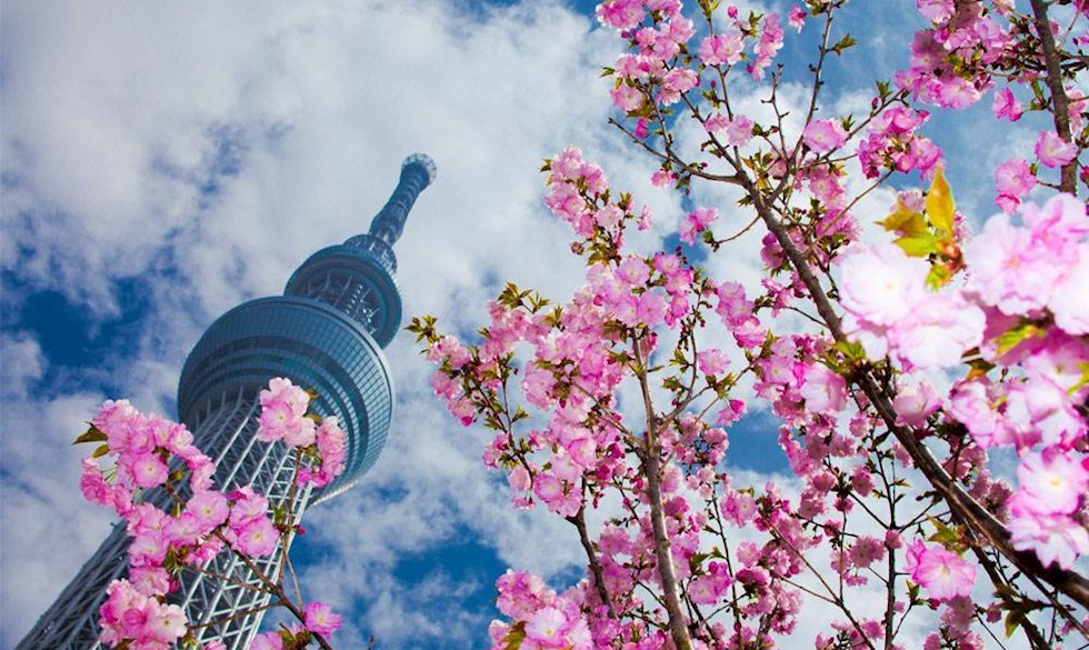 ALT.dk guider dig til, hvor du skal spise, hvad du skal opleve, og hvor du skal shoppe i Tokyo. Japan