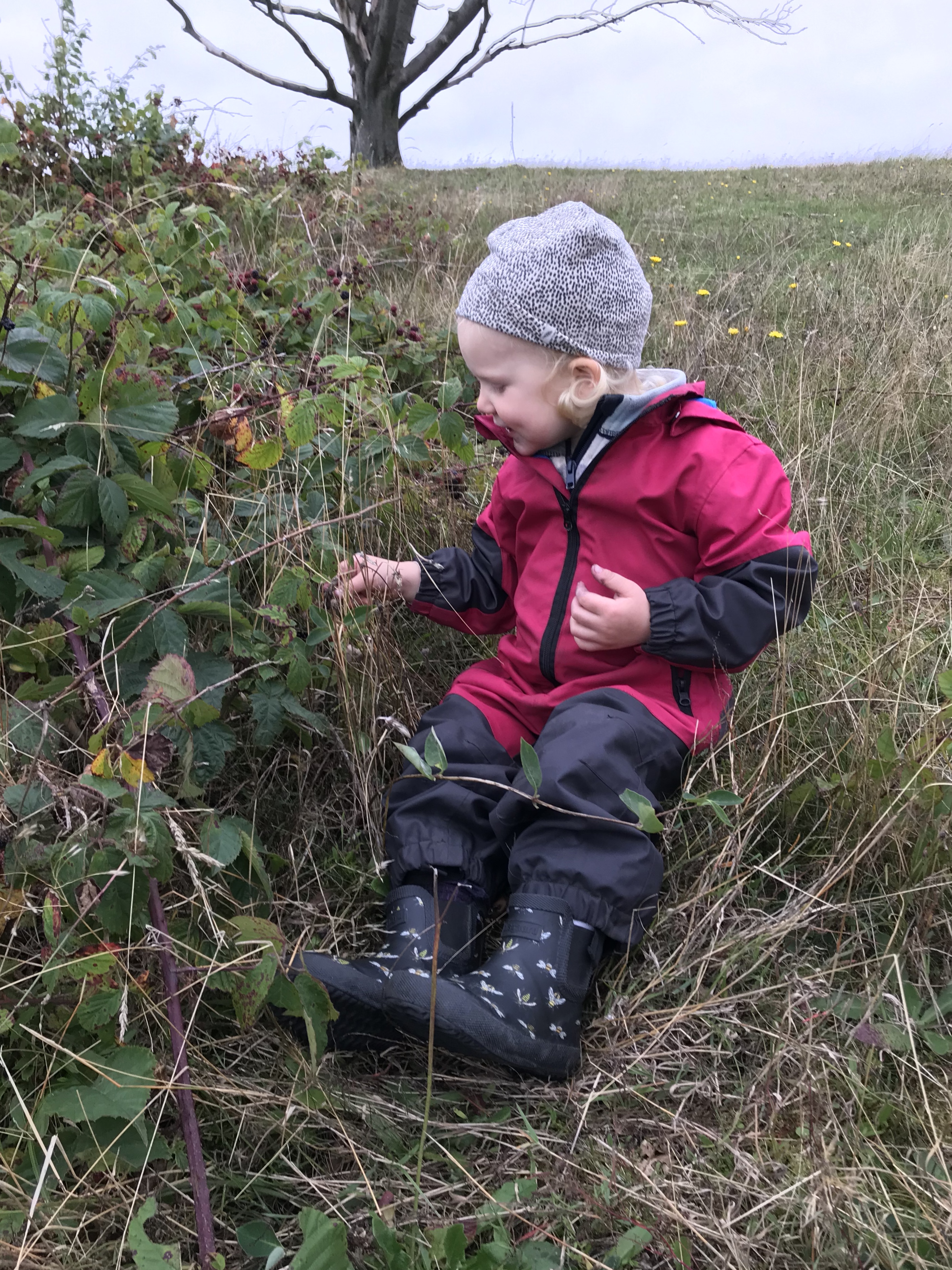 Pluk-selv med boern