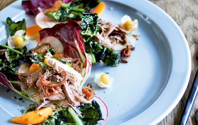 Lækker opskrift med 'pulled duck' Salat med pulled duck, grønkål og æble