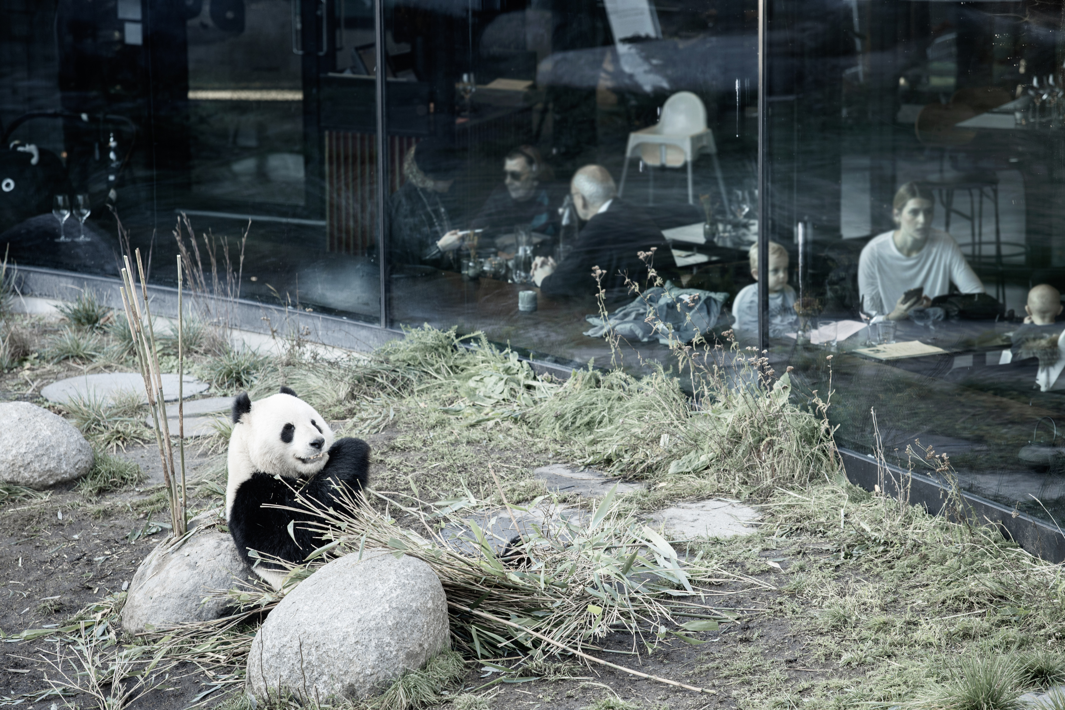 Zoo.jpg