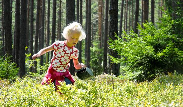 Sverige byder på dejlige naturoplevelser for hele familien. Ferie i Sverige