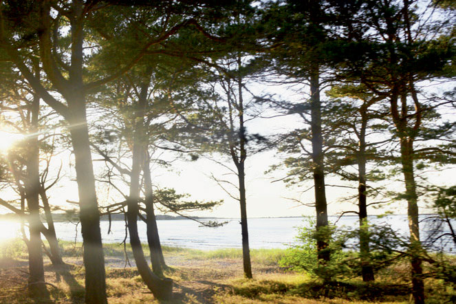 Stranden, hvor Tomas og Charlotte går tur hver dag, uanset vejret.