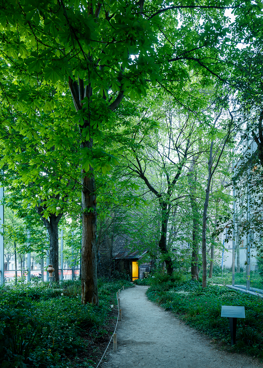 Fondation-Cartier