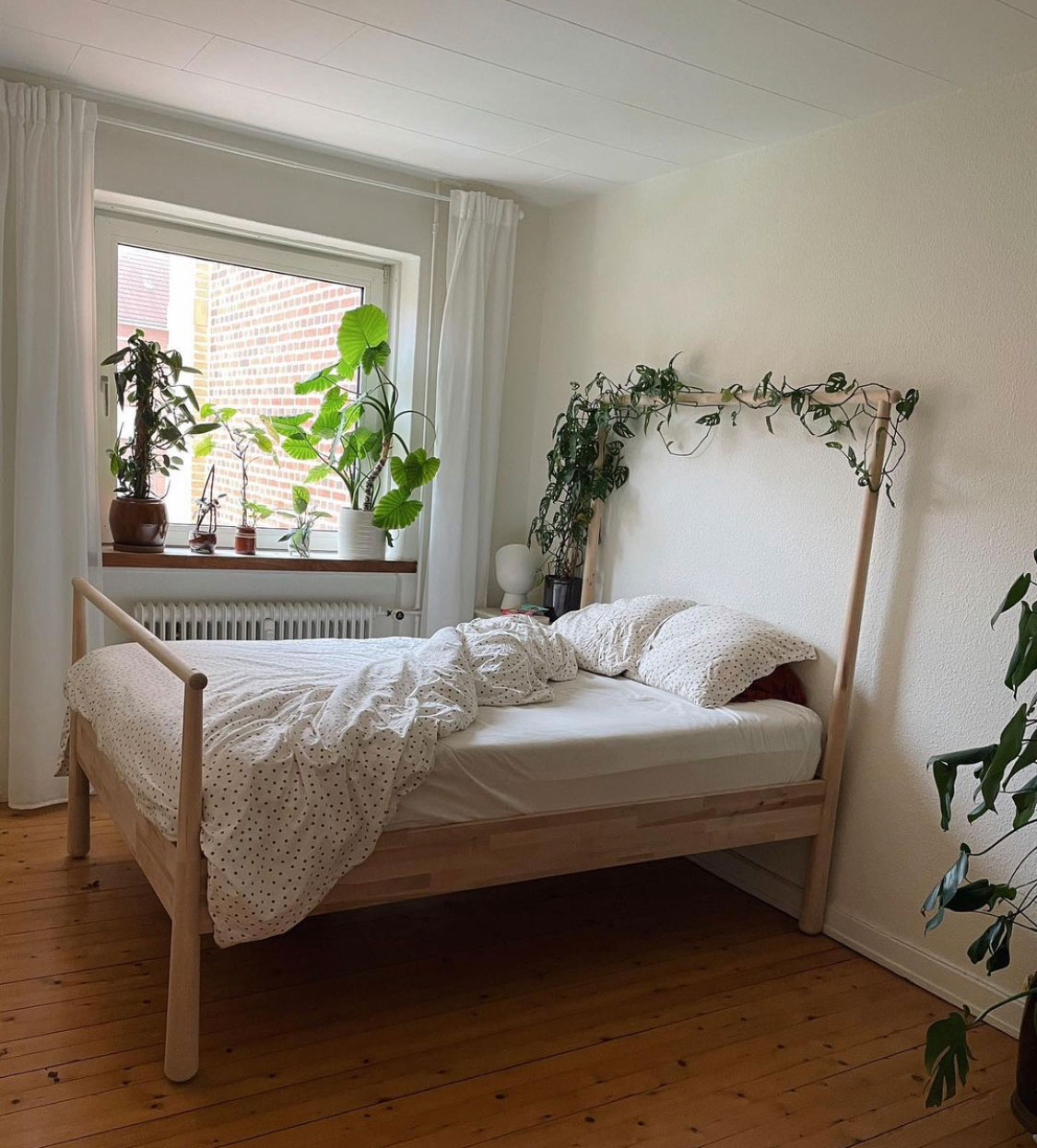 Planten, som slynger sig op af sengestellet, er en Monstera adansonii. Sengetøj fra Ellos og sengestel fra IKEA.