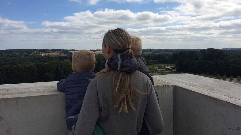 "Det var helt klart IKKE det svar, junior havde håbet på, og hans "selvstændige" (evt. trodsige) ’jeg’ kom på banen" Trodsalder