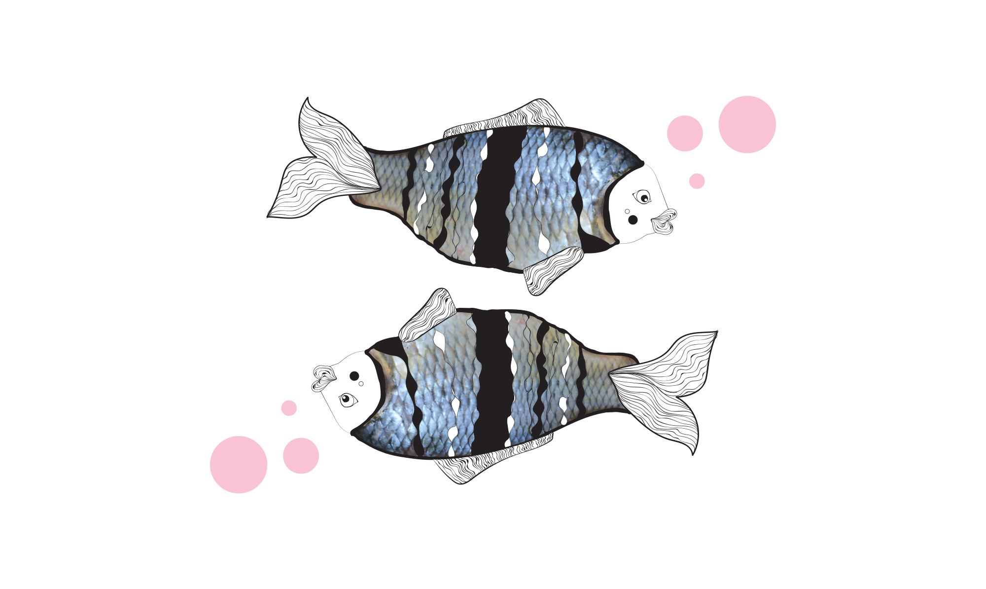 Læs alt om stjernetegnet Fisken Stjernetegn fisk