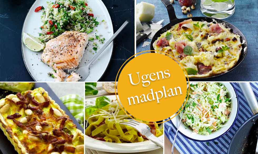 Madplan med 5 lækre opskrifter på nem aftensmad og en indkøbsliste, så du kan købe ind til hele ugen på en gang... opskrifter på nem aftensmad