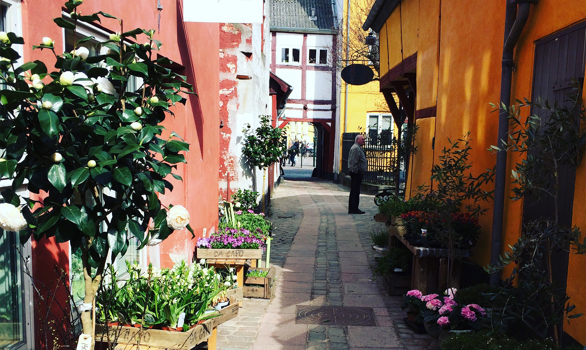Få inspiration til de fineste ferieoplevelser, lækkerier på grillen, hygge i haven og et særligt frirum, der giver ny energi. Køge