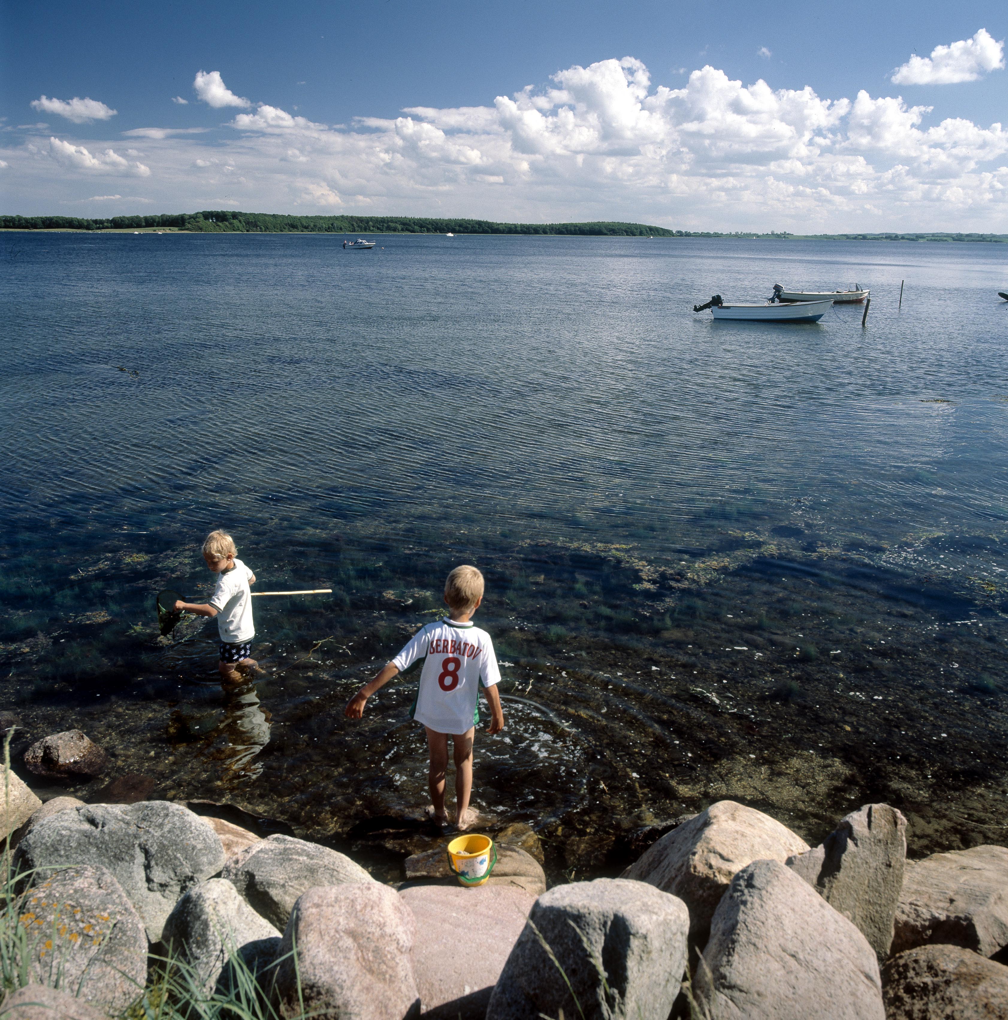 Skjoldungerne.jpg