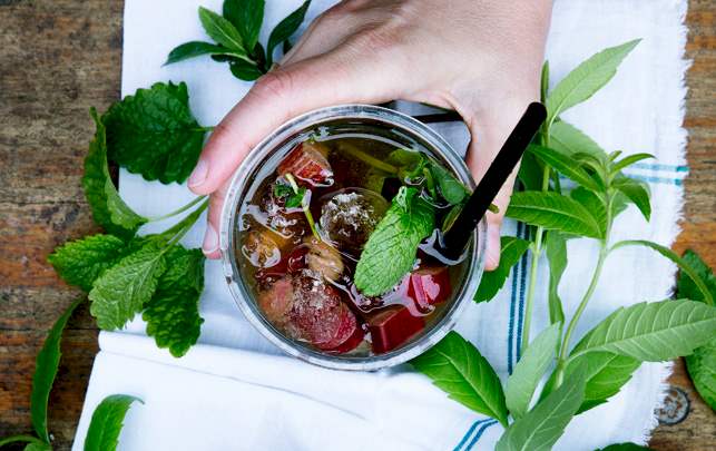 Sådan laver du mojitos med rabarber og citronverbena Sådan laver du mojitos med rabarber og citronverbena