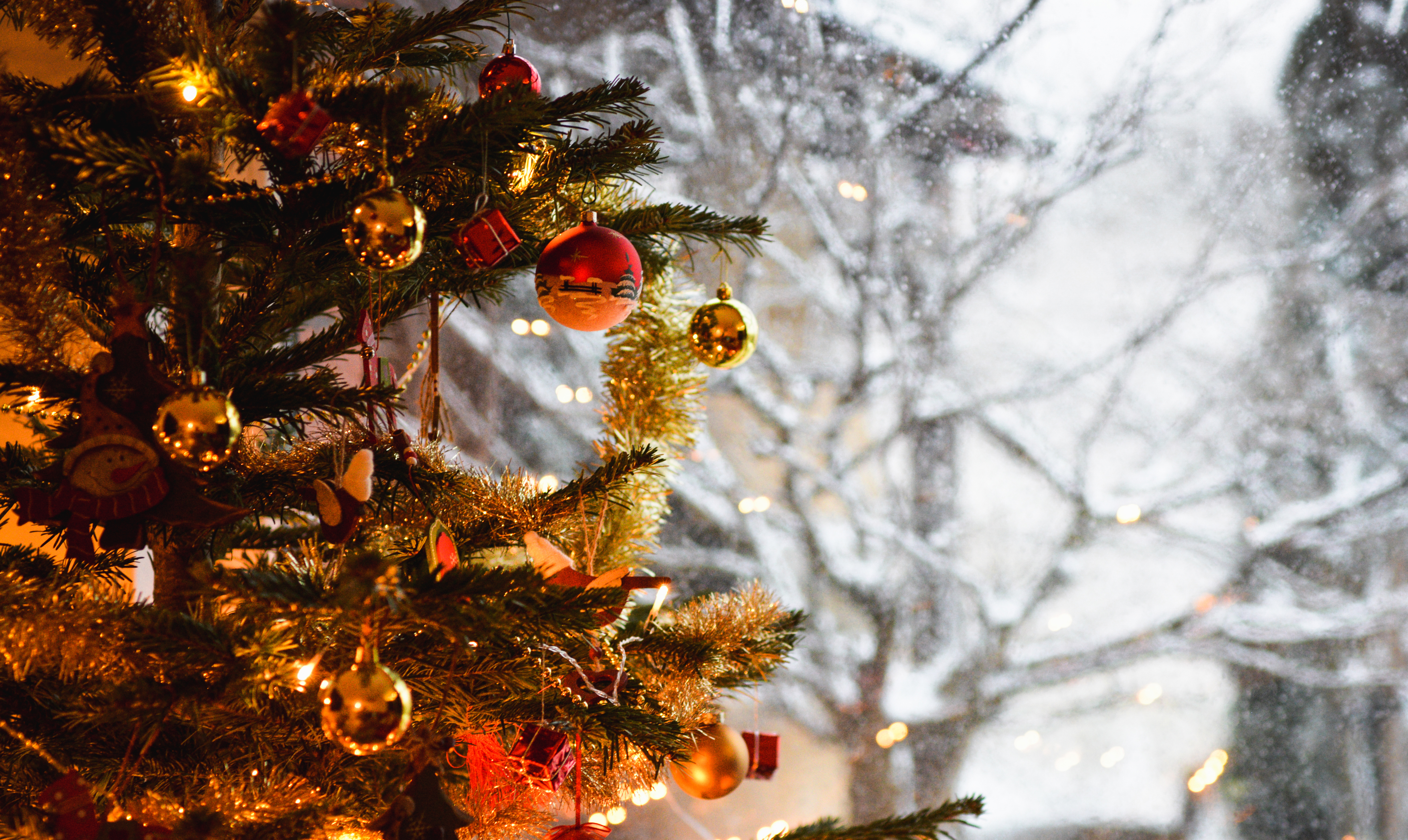 Det er ikke i alle lande, at man danser rundt om juletræet. juletræ hvor stammer det fra