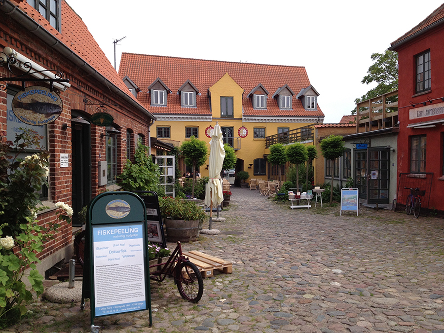 Stege bryghuset møn