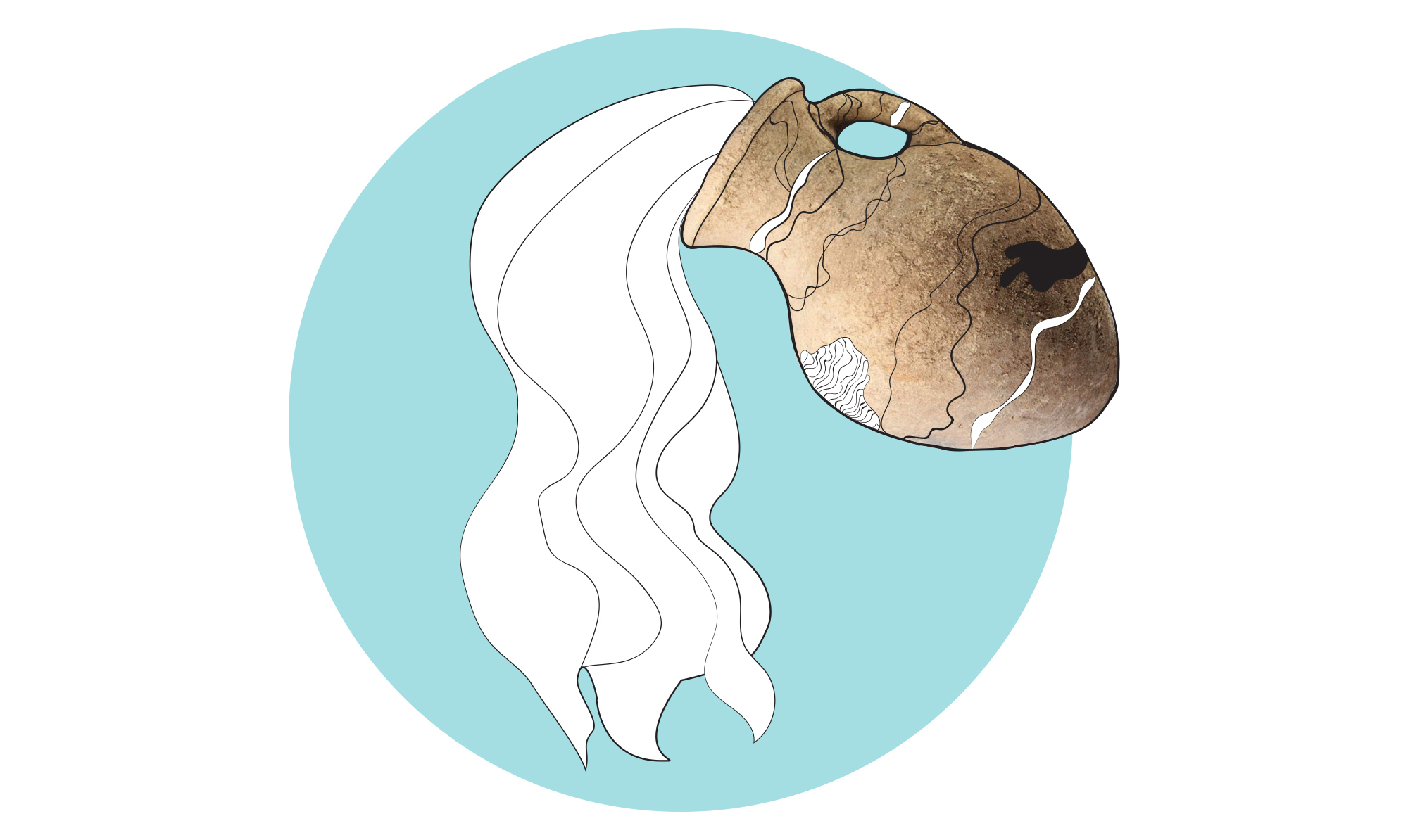 Vandmanden er et lufttegn. Horoskop vandmand illustration