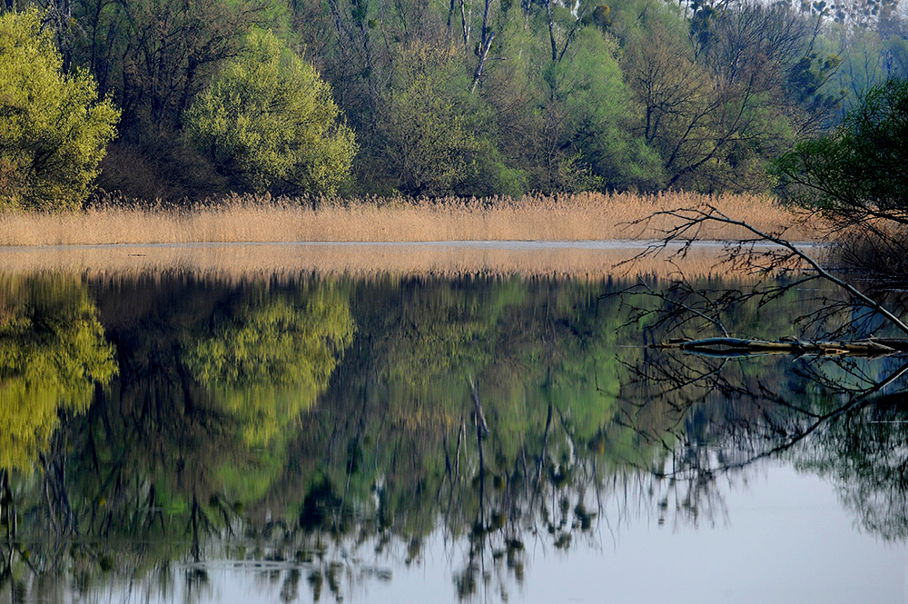 Nationalpark Donau-Auen