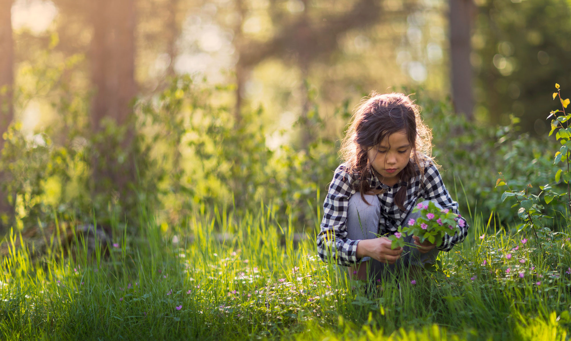 Madspecialisten guider dig til med gode råd og tips til at samle mad i naturen. 5 ting du aldrig må gøre, når du går på jagt i naturens spisekammer