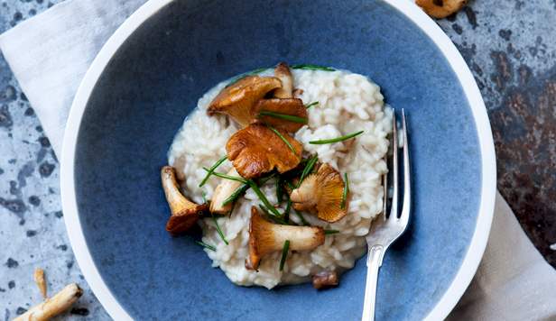 Risotto med kantareller Opskrift på risotto med kantareller