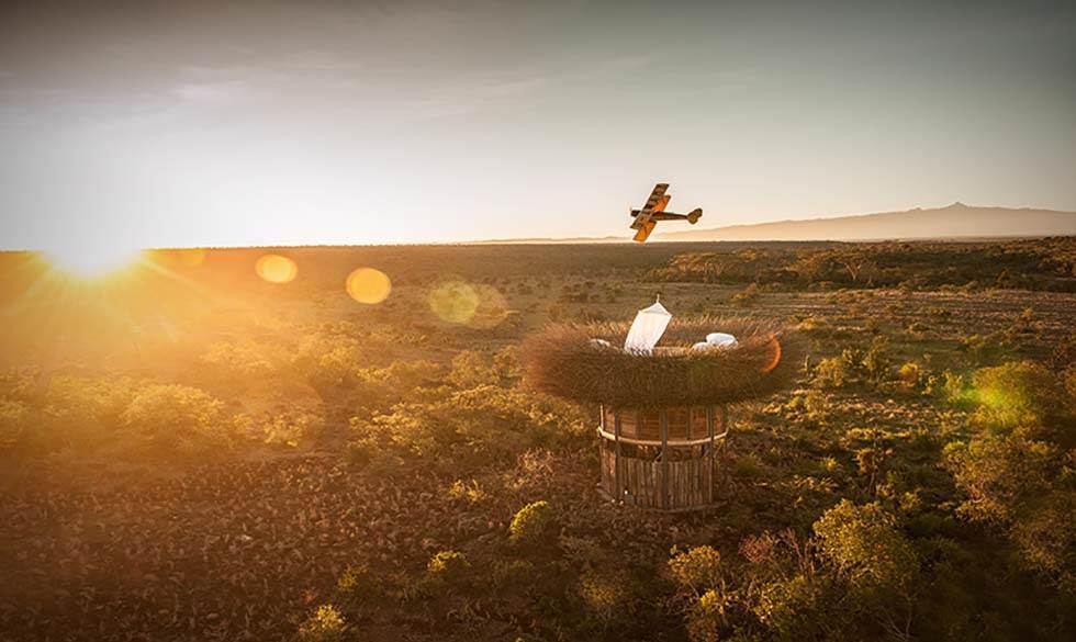 NAY PALAD Bird Nest, Kenya Hotel-guide