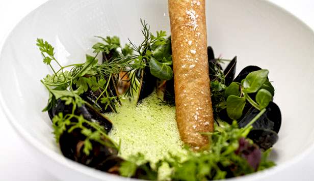 Persillesuppe med blåmuslinger, urter og sprød croustillant Persillesuppe opskrift