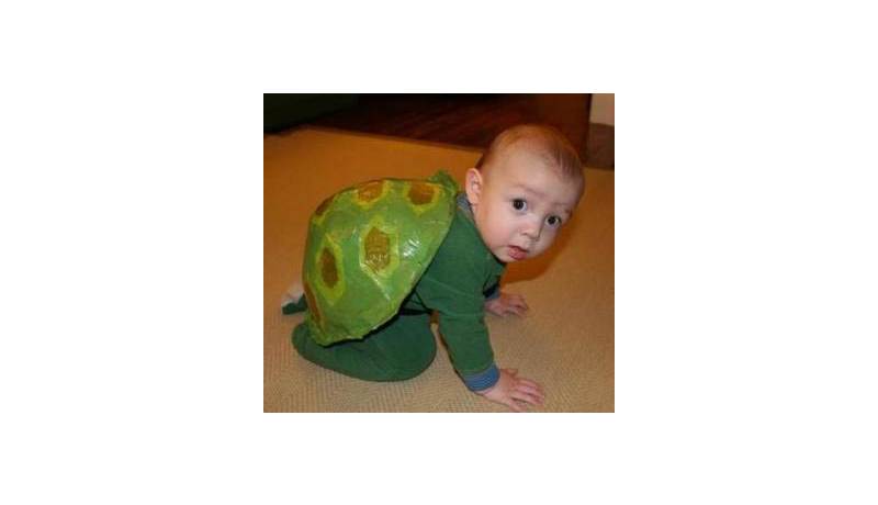 01turtle.jpg