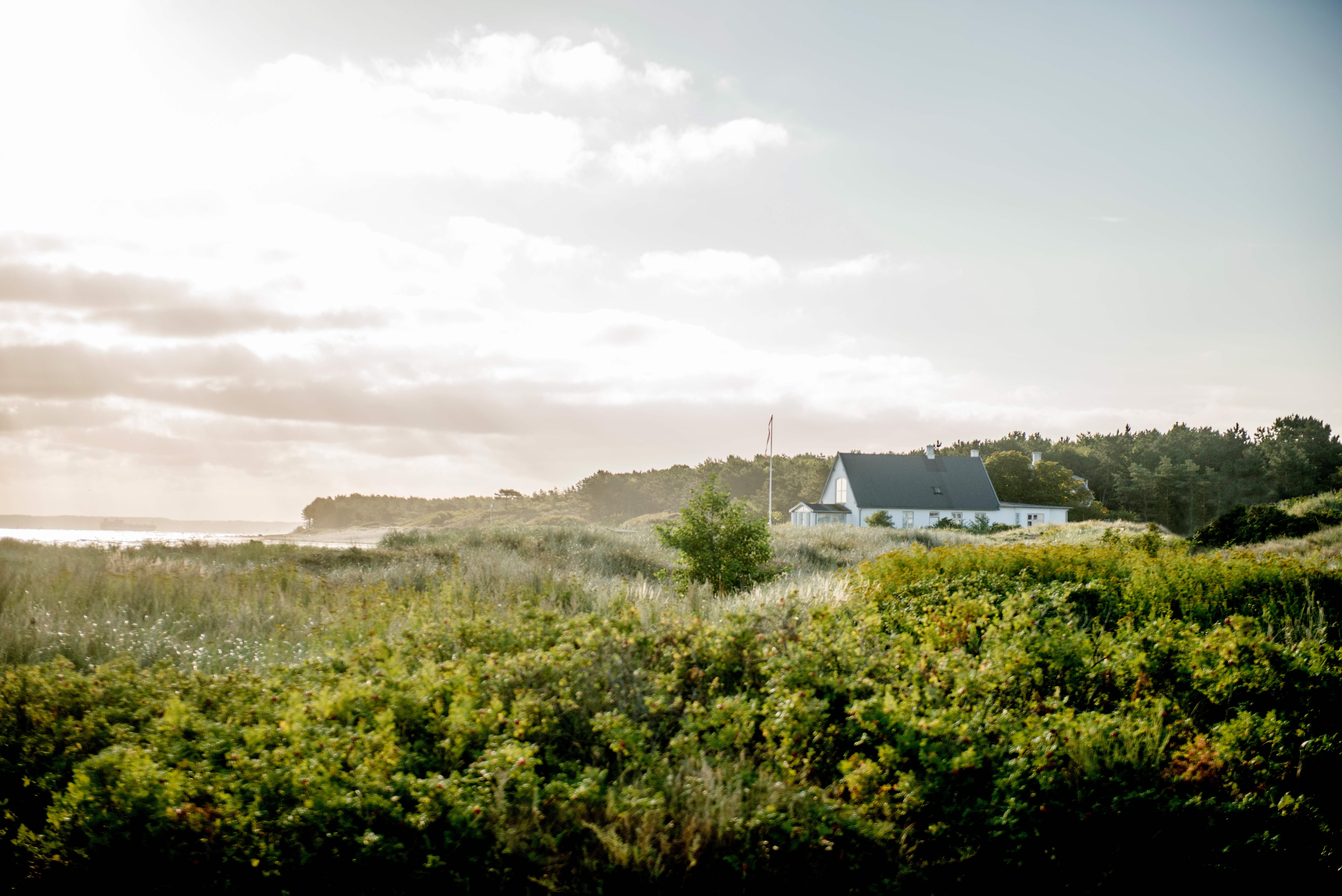 Hornbæk.jpg