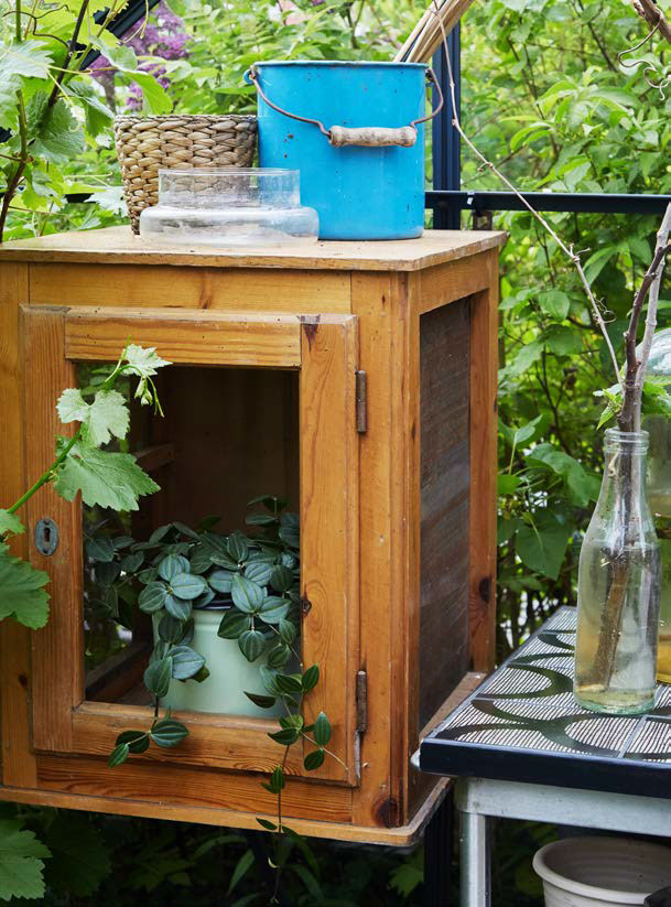 Et gammelt skab har fået nyt liv som hjem for de skyggeelskende planter i drivhuset.