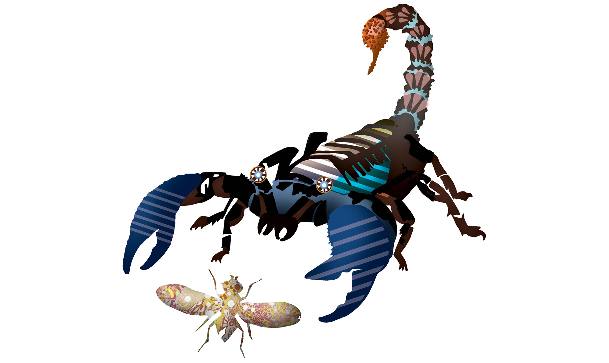 10Skorpion1.jpg