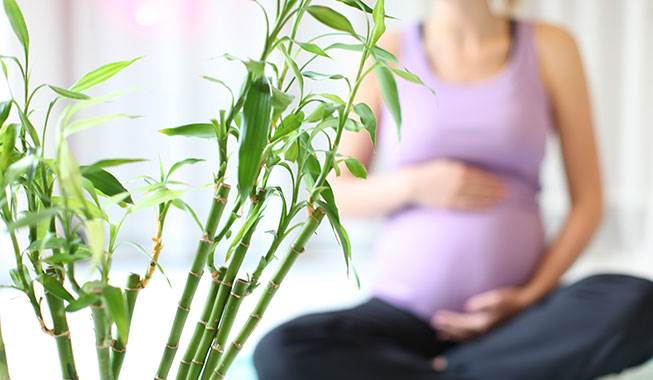 Lider du også under hyppige toiletture, mærkelige madvaner og en kæmpe træthed? Så er du nok gravid, skriver blogger Kamilla Borg. Foto: Nimastock Blog: 13 sjove facts om at være gravid