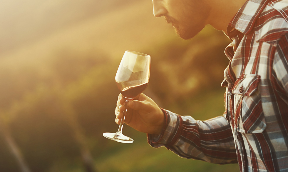Vinsmagning