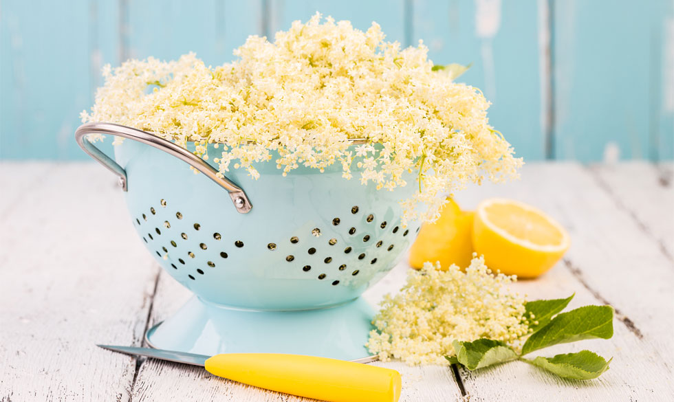 Så er det nu! Hylden er sprunget ud flere steder og det er tid til at lave en ordentlig balje hyldeblomstsaft, som kan vare langt ind i efteråret. hyldeblomstsaft opskrift