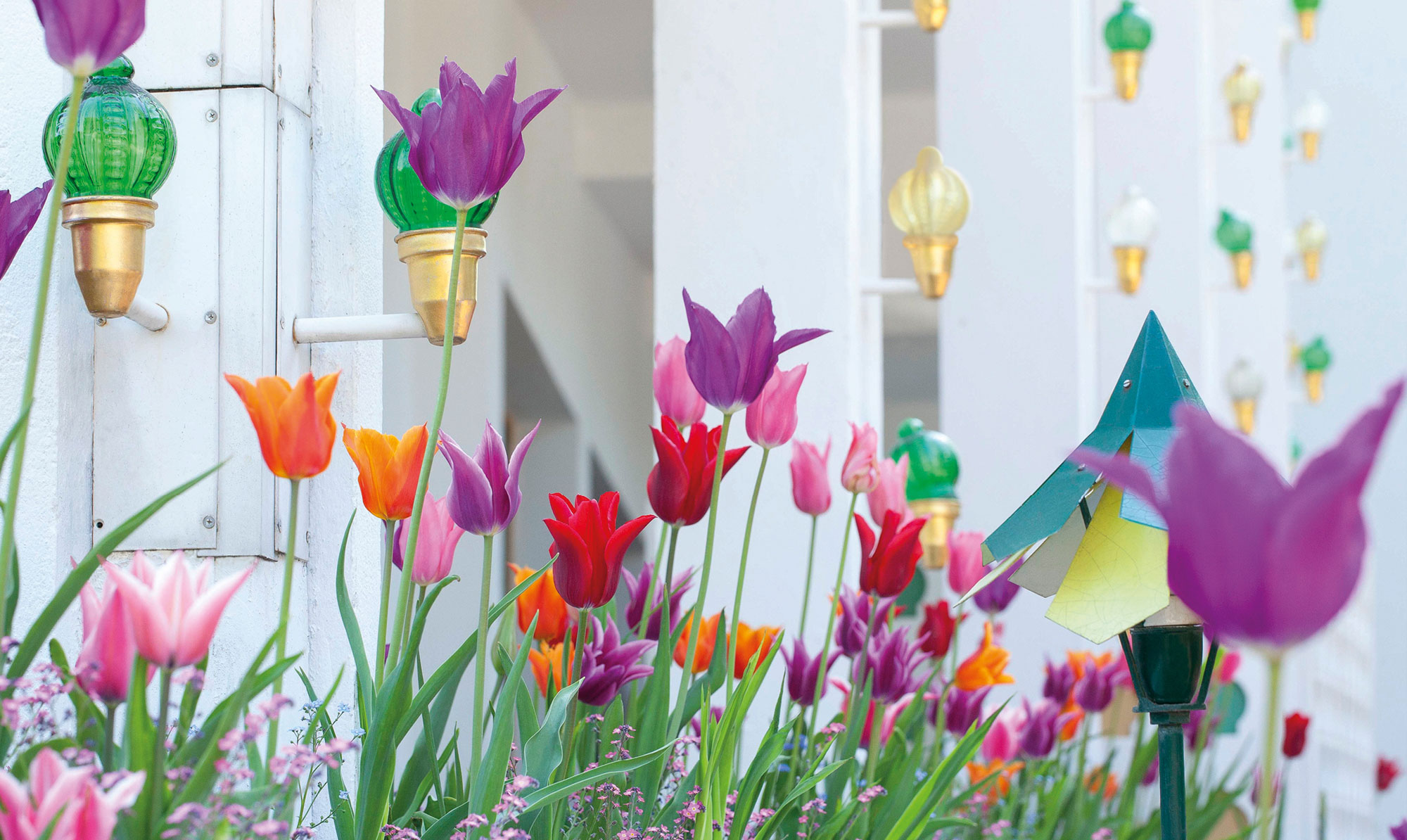 Smukke tulipaner foran Tivolis koncertsal. Tivoli