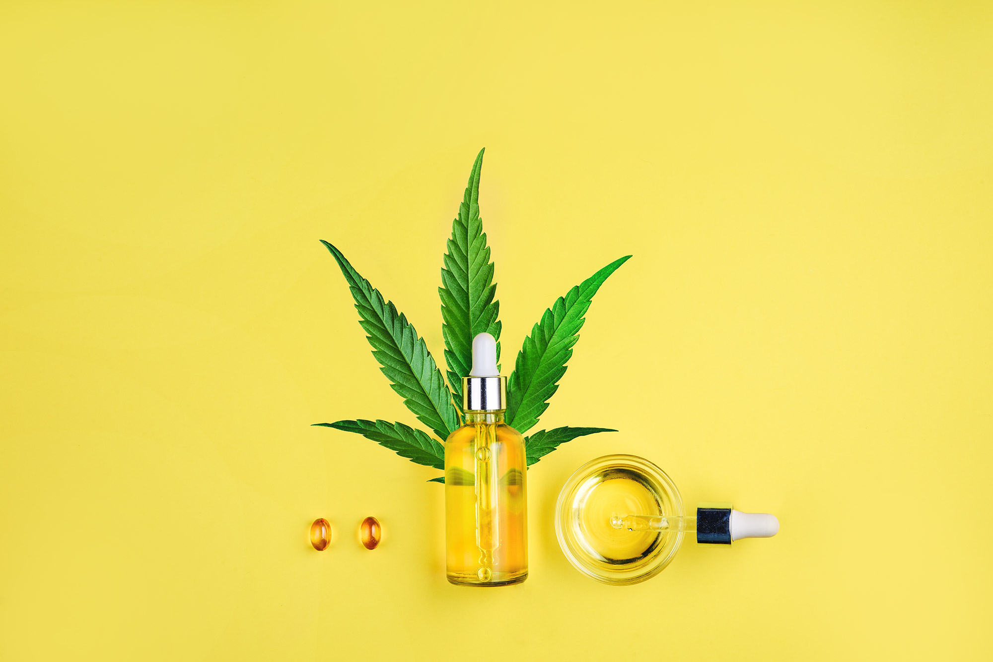 Denne artikel er sponsoreret af: Royal Unibrew, Bornholmerhampen, Møllerup Brands, Sananordic & WellNox. Inspiration til sunde hampeprodukter