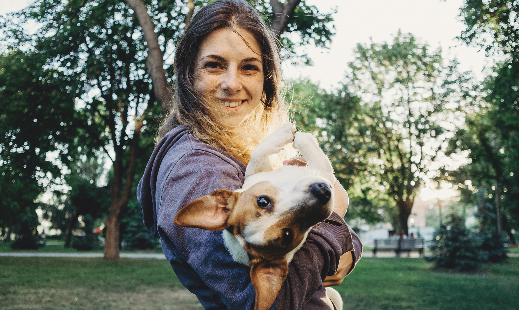 Med lidt træning bliver hunden hurtigt din bedste træningsmakker. Fit med hund: 8 tips til at løbe med din hund