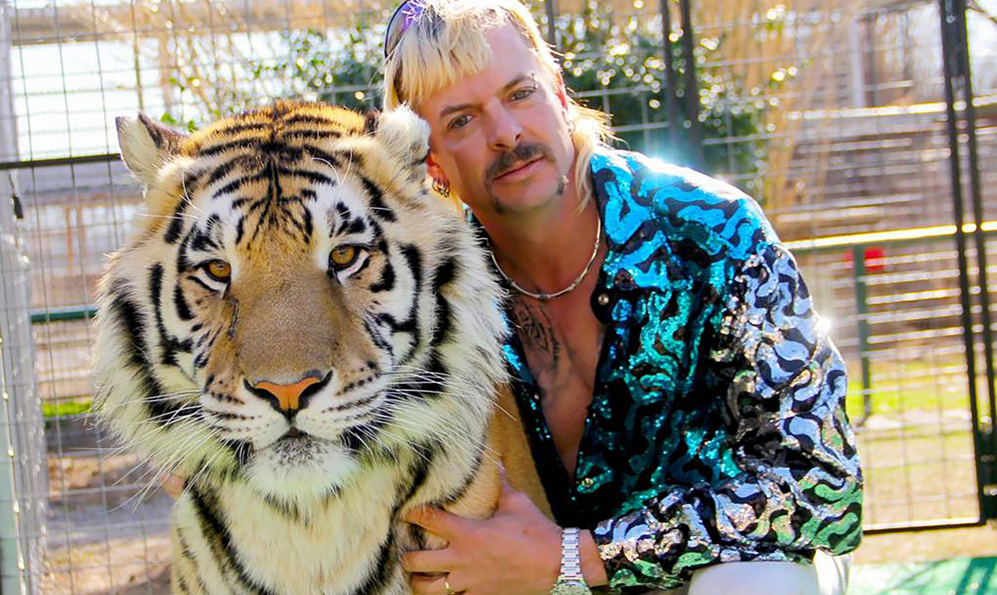 Tiger Kings zoo lukker