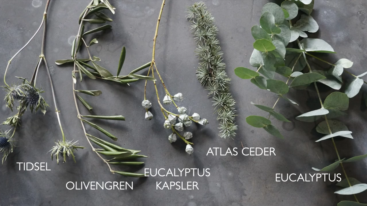 Forny din julestil med smukke afskårne planter. Afskårne planter