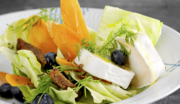 Salat af spidskål, gedeost og blåbær Opskrift på spidskålssalat med gedeost og blåbær