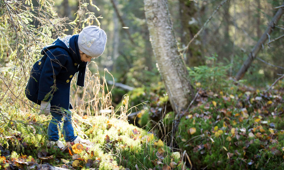 Er du også lidt på glatis, når det gælder vinterstøvler til junior? Bliv klogere på, hvad de forskellige støvletyper kan. Bedste vinterstøvler til børn