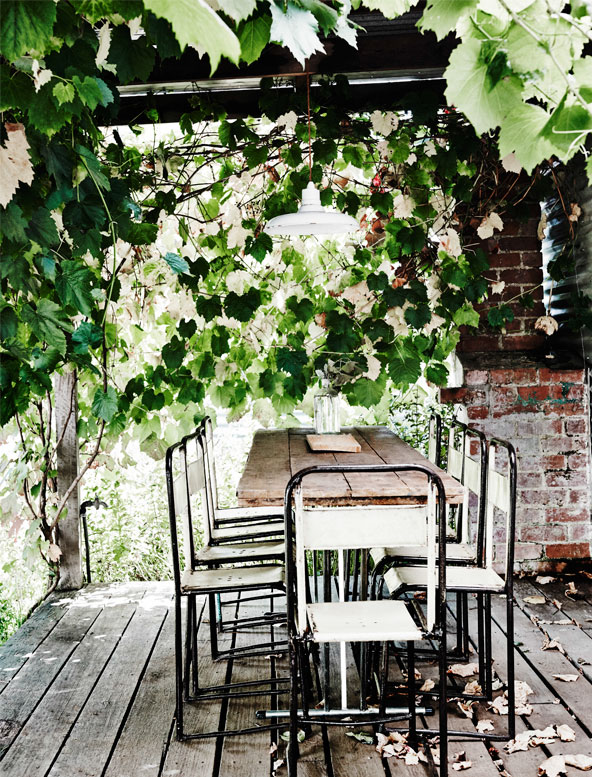 Terrasse Vinen slynger sig overalt på den overdækkede terrasse og giver tiltrængt skygge på en varm sommerdag.